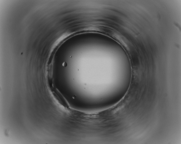 X0000097901133200803141349