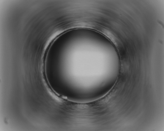 X0000097901136200803141349