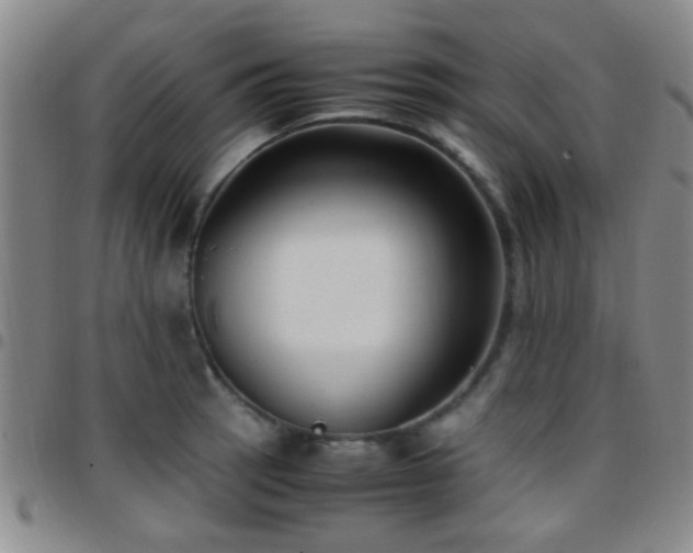 X0000097901137200803141349