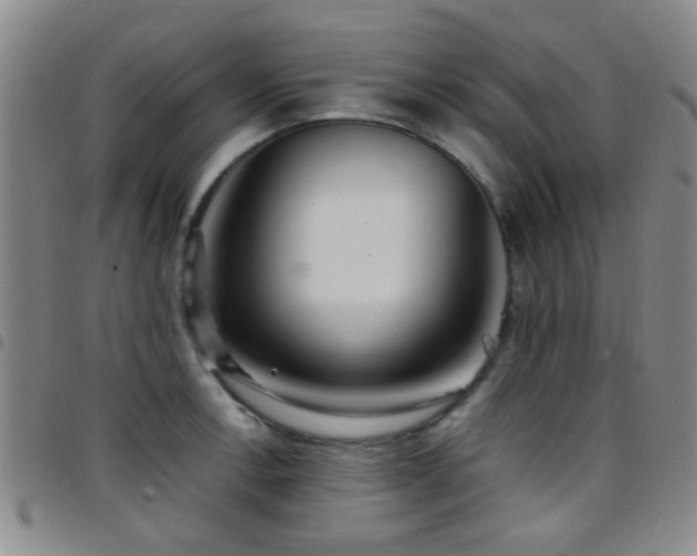 X0000097901138200803141349