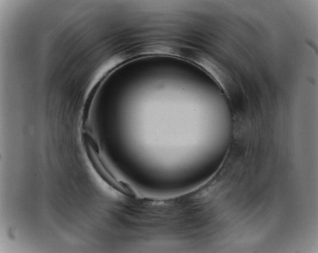 X0000097901139200803141349