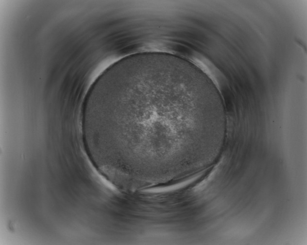 X0000097901141200803141349