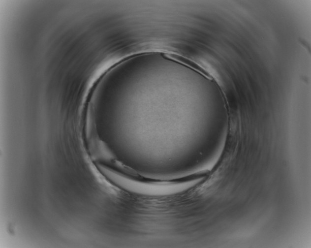 X0000097901144200803141349