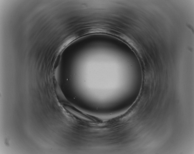 X0000097901145200803141349