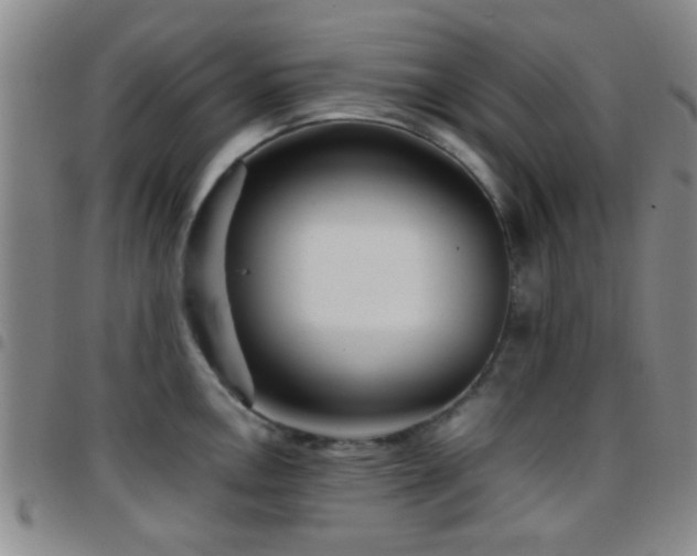 X0000097901146200803141349