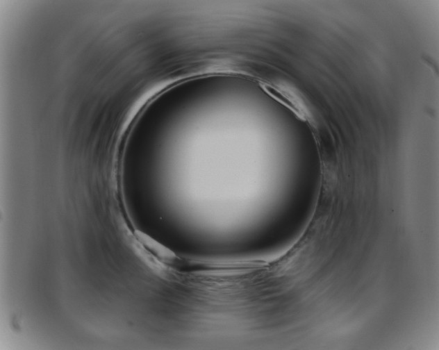 X0000097901148200803141349