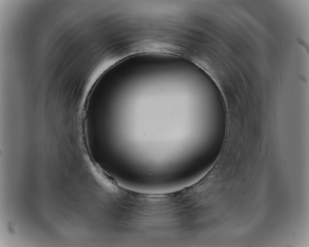 X0000097901152200803141349