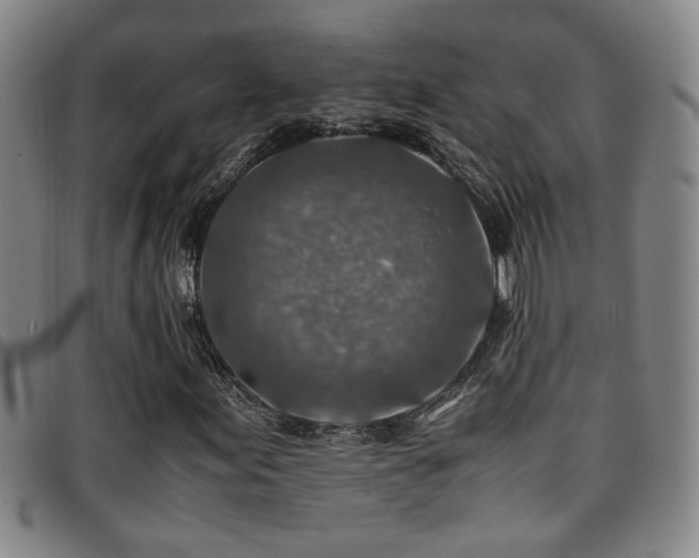 X0000097901155200803141348