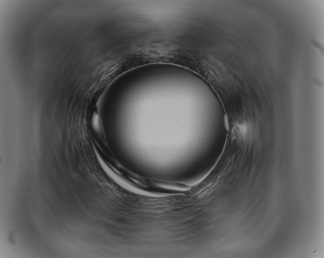 X0000097901156200803141348