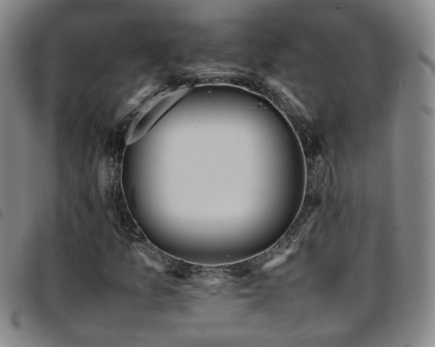 X0000097901157200803141348