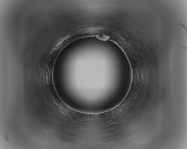 X0000097901158200803141348