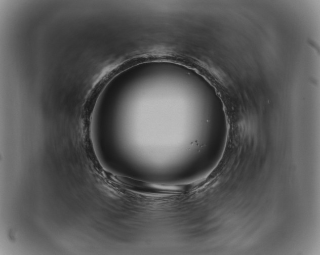 X0000097901160200803141348