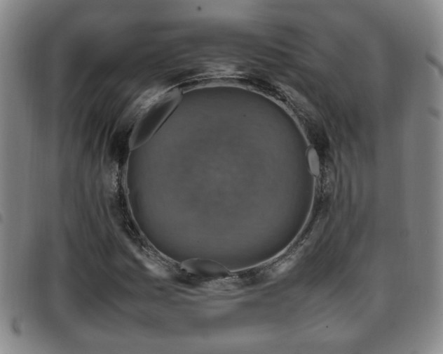X0000097901161200803141348