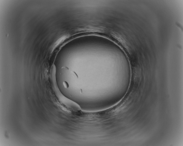 X0000097901163200803141348