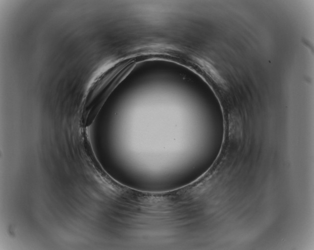X0000097901164200803141348