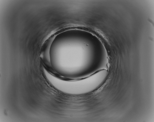 X0000097901165200803141348