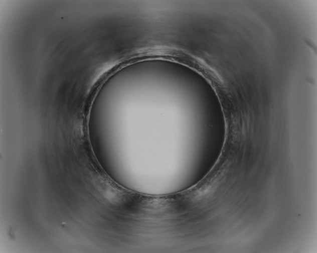X0000097901166200803141348
