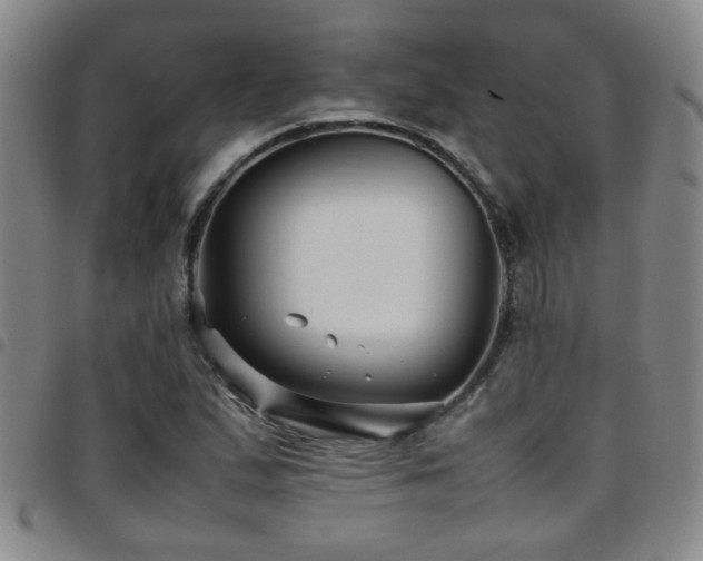 X0000097901167200803141348