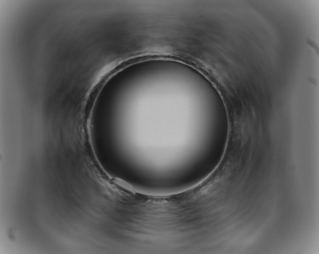 X0000097901168200803141348