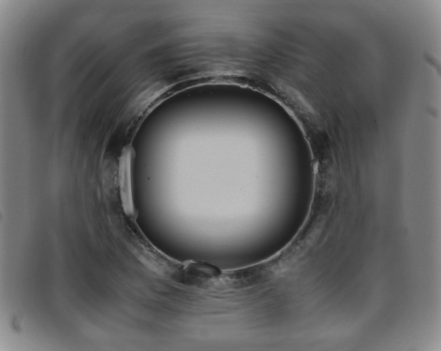 X0000097901169200803141348