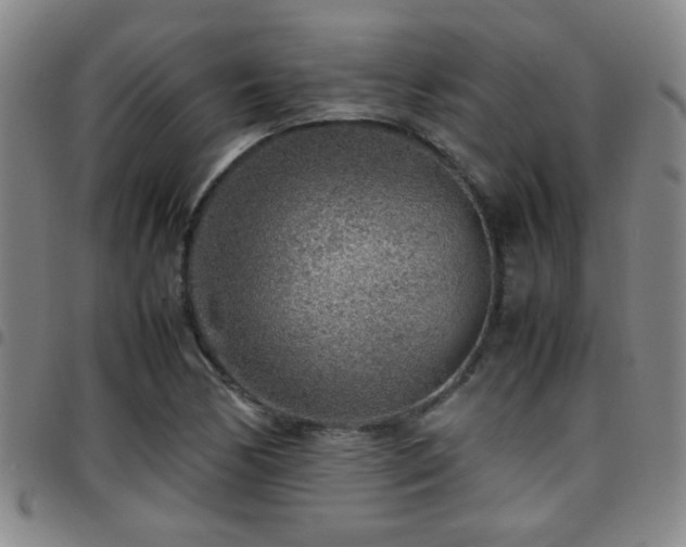 X0000097901170200803141348