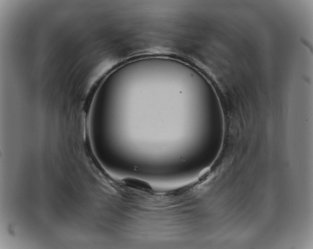 X0000097901171200803141348