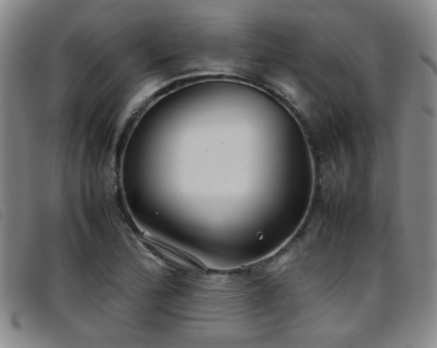 X0000097901172200803141348