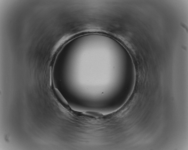 X0000097901175200803141348