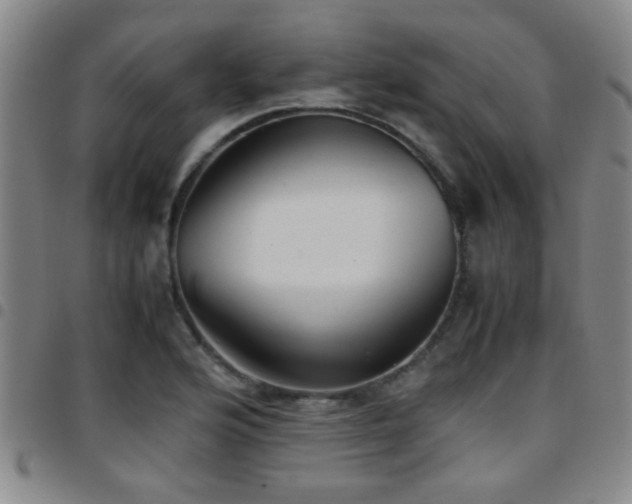 X0000097901176200803141348