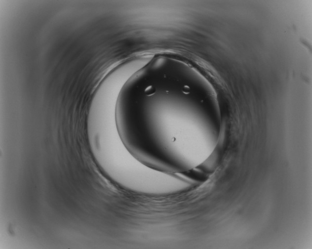 X0000097901177200803141348