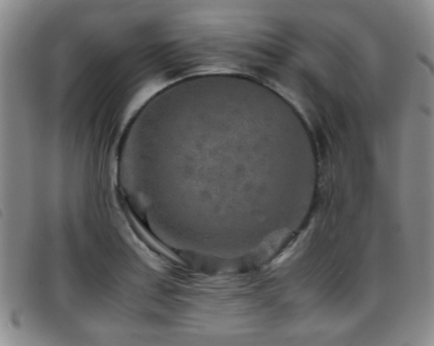 X0000097901179200803141348
