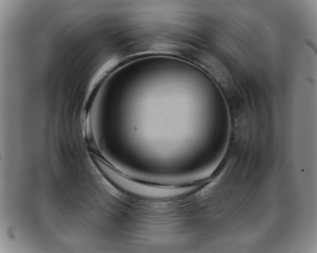 X0000097901180200803141348
