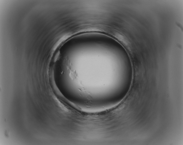 X0000097901181200803141348