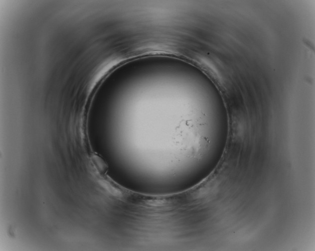 X0000097901182200803141348