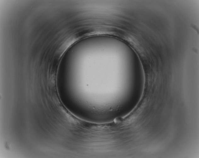 X0000097901185200803141348