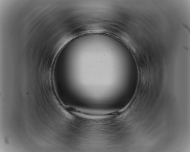X0000097901186200803141348