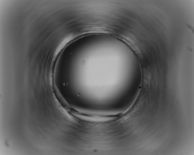 X0000097901188200803141348