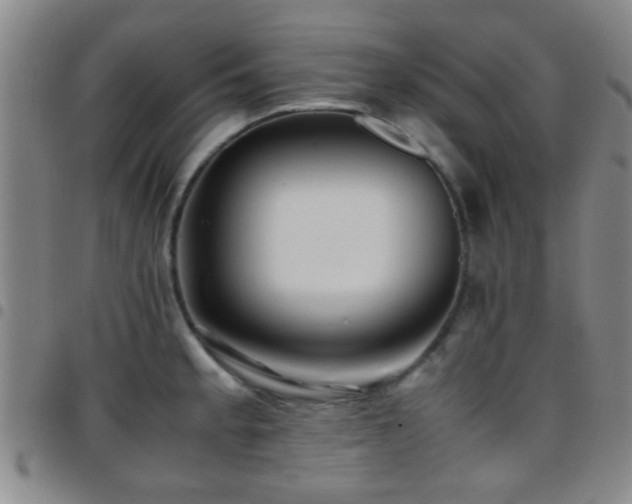 X0000097901189200803141348