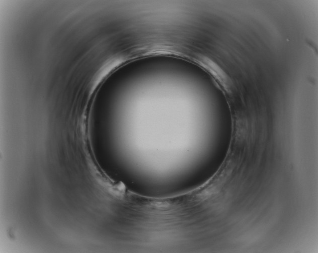 X0000097901190200803141348