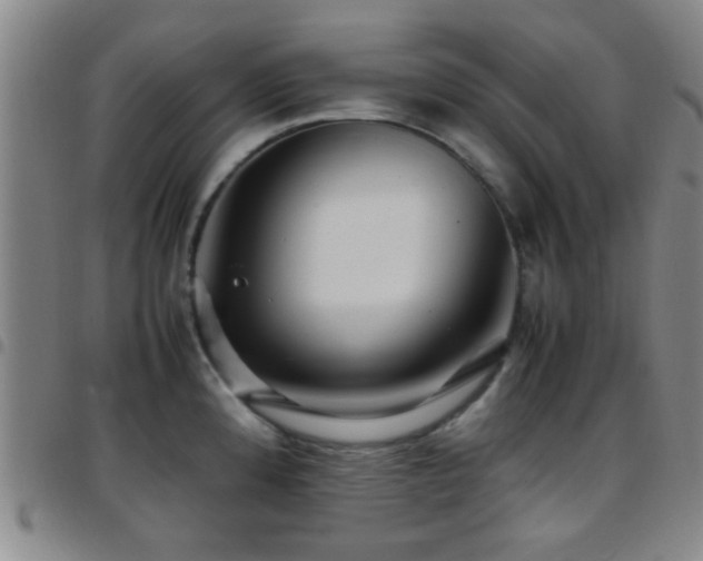 X0000097901192200803141348