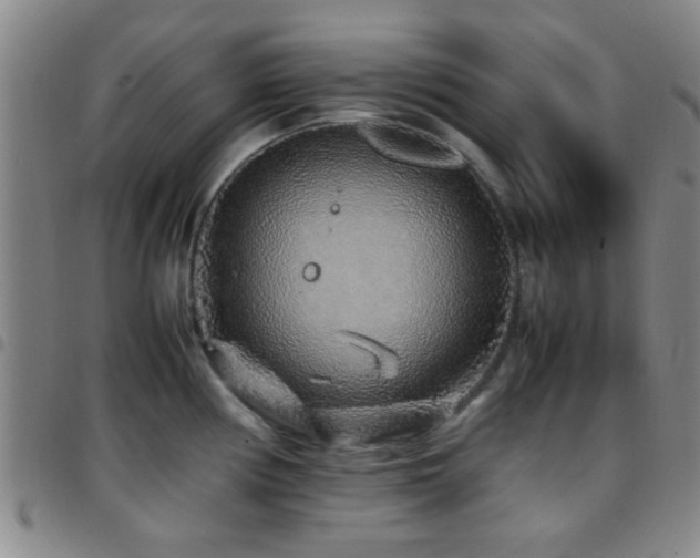 X0000097901194200803141348