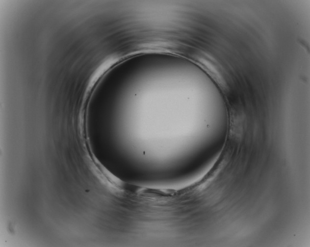 X0000097901196200803141348