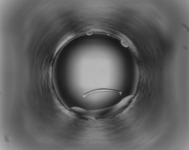 X0000097901198200803141348