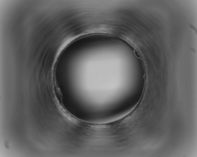 X0000097901200200803141348