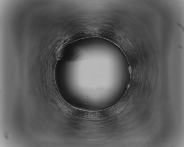 X0000097901201200803141347