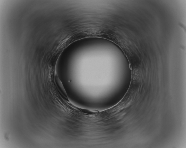 X0000097901202200803141347