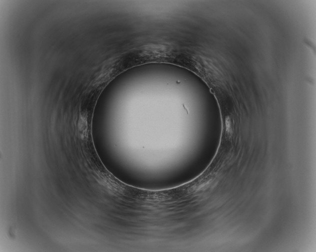 X0000097901203200803141347