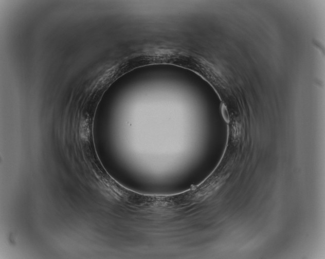 X0000097901204200803141347