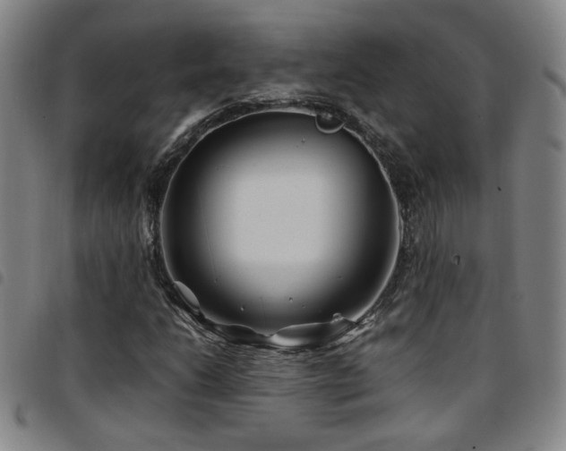 X0000097901206200803141347