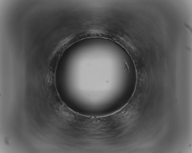 X0000097901207200803141347